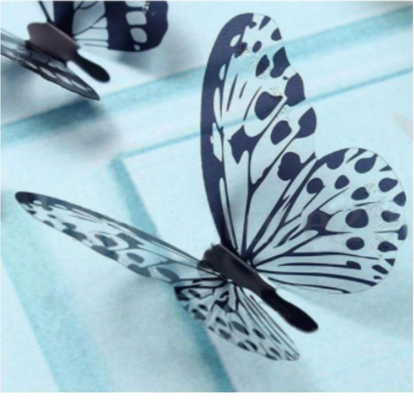 18pcs 3d butterfly sticker black white art wall decal home decoration room decor about 6cm butterfly jllysi
18pcs 3d butterfly sticker black white art wall decal home decoration room decor about 6cm butterfly jllysi