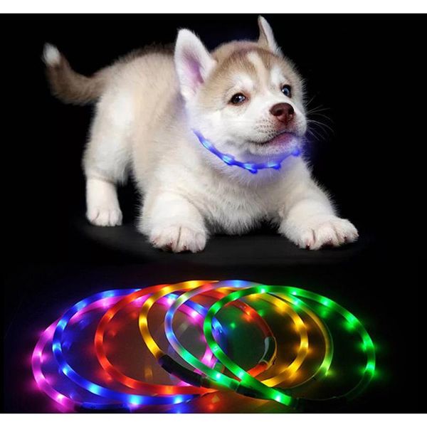 70cm led pet dog collar rechargeable usb adjustable flashing cat puppy collar safety in night fits all pet silicone dogs collars bh2855 6js
70cm led pet dog collar rechargeable usb adjustable flashing cat puppy collar safety in night fits all pet silicone dogs collars bh2855 6js