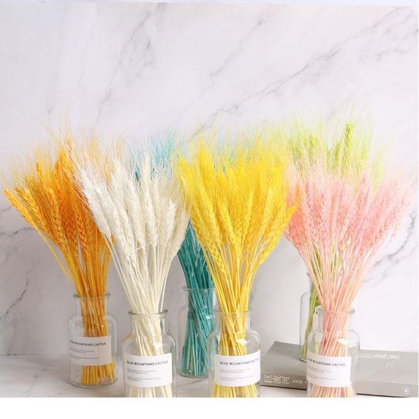 50pcs/lot natural dried flower wheat ears bouquet for wedding party decoration diy craft home decor scrapbook wheat bran jllamc
50pcs/lot natural dried flower wheat ears bouquet for wedding party decoration diy craft home decor scrapbook wheat bran jllamc