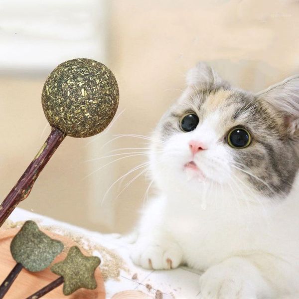 cat toys green catnip toy interactive natural cats mental health and digestion clean teeth lollipop shape ball toy1
cat toys green catnip toy interactive natural cats mental health and digestion clean teeth lollipop shape ball toy1