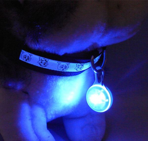 led flashing pet collar dog cat puppy led night safety pedant pet buckle tie collar for training walking bbymrc ladyshome
led flashing pet collar dog cat puppy led night safety pedant pet buckle tie collar for training walking bbymrc ladyshome