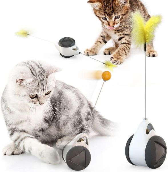tumbler swing toys for cats kitten interactive balance car cat chasing toy with catnip funny pet products for dropshipping
tumbler swing toys for cats kitten interactive balance car cat chasing toy with catnip funny pet products for dropshipping