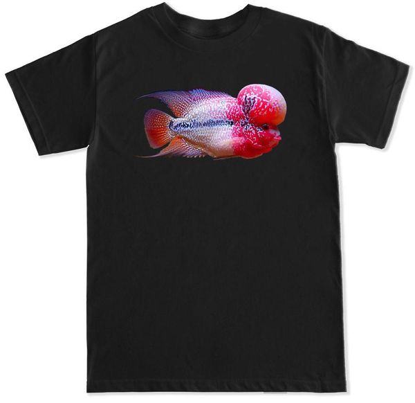 flowerhorn fish black men's new arrival summer style short sleeve leisure fashion funny for sport hooded sweatshirt hoodie men t shirt
flowerhorn fish black men's new arrival summer style short sleeve leisure fashion funny for sport hooded sweatshirt hoodie men t shirt