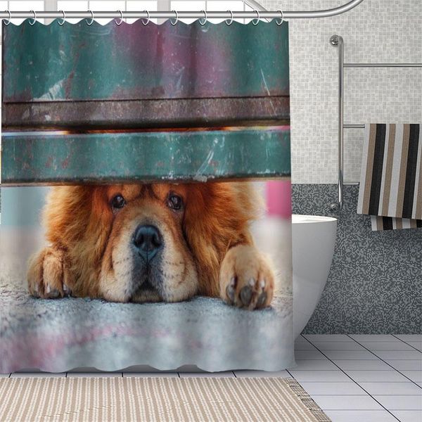 custom chow chow dog shower curtain waterproof bathroom curtain fabric shower sets drop shipping 1pc custom
custom chow chow dog shower curtain waterproof bathroom curtain fabric shower sets drop shipping 1pc custom