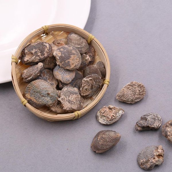 5pcs lot natural clams shell raw stone shell stone nautical home decor animal stone specimen collectibles micro landscape decor h jlluvt
5pcs lot natural clams shell raw stone shell stone nautical home decor animal stone specimen collectibles micro landscape decor h jlluvt
