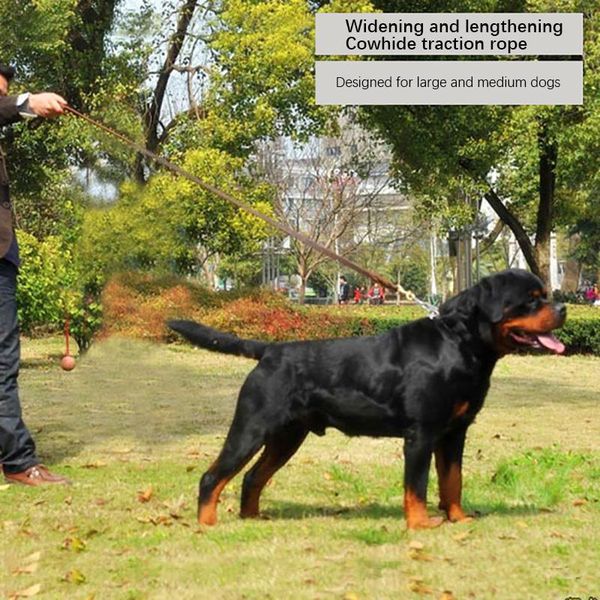 pet training pet dog leash walking safety leather dog chain leash rope running long mountaineering rope
pet training pet dog leash walking safety leather dog chain leash rope running long mountaineering rope