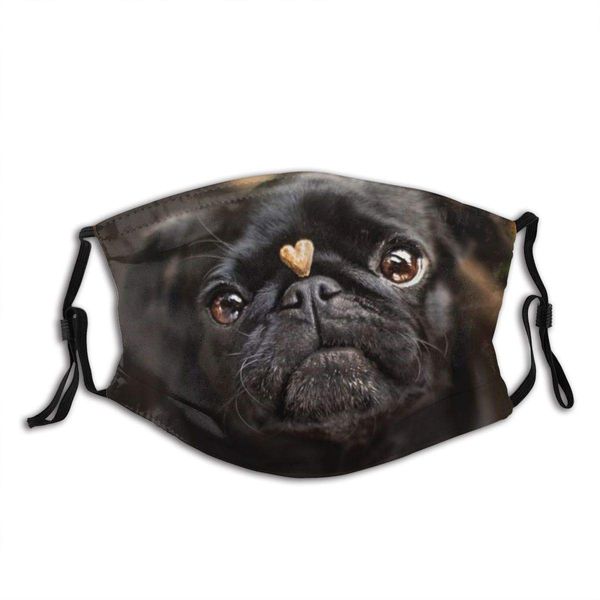 cute funny black pug dog face mask with filter pocket washable reusable face bandanas balaclava with 2 pcs filters
cute funny black pug dog face mask with filter pocket washable reusable face bandanas balaclava with 2 pcs filters
