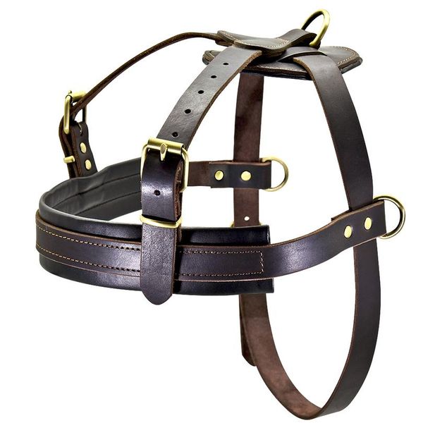 soft leather big dog harness for medium large dogs k9 pitbull adjustable pet harness vest bulldog husky rottweiler h sqcpbd
soft leather big dog harness for medium large dogs k9 pitbull adjustable pet harness vest bulldog husky rottweiler h sqcpbd