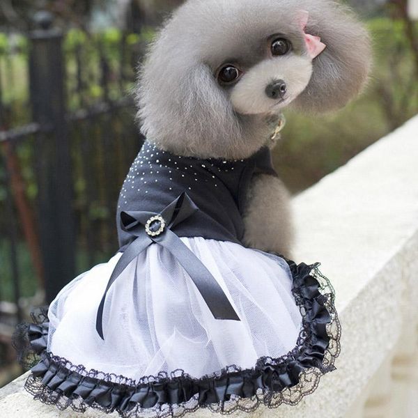 dog apparel luxury girl pet clothes for yorkies chihuahua dresses summer tulle dress dogs puppy skirt clothing sukienka dla psa
dog apparel luxury girl pet clothes for yorkies chihuahua dresses summer tulle dress dogs puppy skirt clothing sukienka dla psa