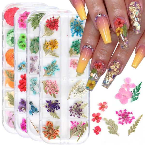 nail glitter mixed 3d dried flowers decoration natural floral dry flower leaf art jewelry stickers manicure accessories trf25-41, Silver;gold
nail glitter mixed 3d dried flowers decoration natural floral dry flower leaf art jewelry stickers manicure accessories trf25-41, Silver;gold