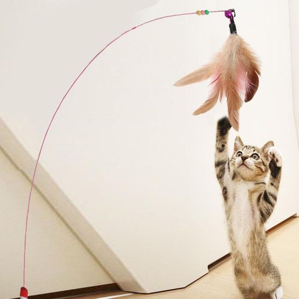 1pc cat toy stick feather wand with bell mouse cage toys plastic artificial colorful cat teaser toy pet supplies rand qylipi
1pc cat toy stick feather wand with bell mouse cage toys plastic artificial colorful cat teaser toy pet supplies rand qylipi