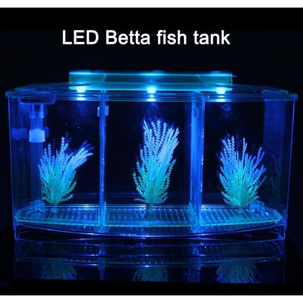 senzeal transparent acrylic fighting fish tank triple cube aquarium led lighting dimmable betta separate breed qyltxj toys2010
senzeal transparent acrylic fighting fish tank triple cube aquarium led lighting dimmable betta separate breed qyltxj toys2010