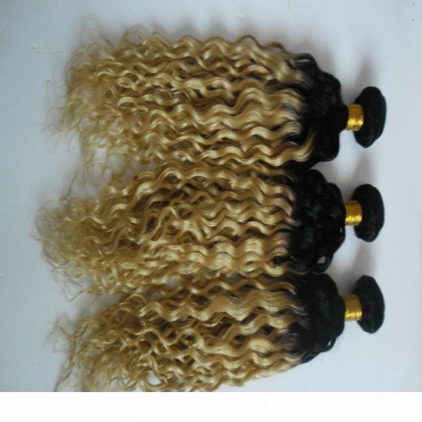 t1b 60 color ombre kinky curly hair extensions 100% human hair weaves 10-30 inchs unprocessed double weft hair weaving, Black
t1b 60 color ombre kinky curly hair extensions 100% human hair weaves 10-30 inchs unprocessed double weft hair weaving, Black