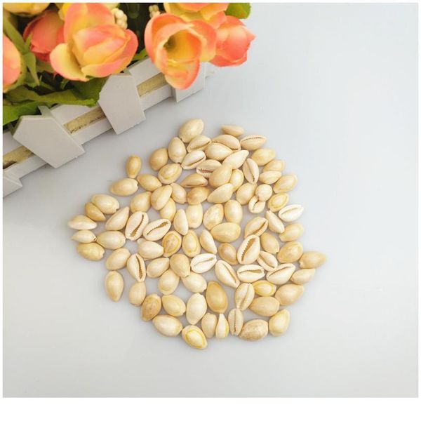 happykiss 500g cute natural sea shells loose beads accessories diy bracelets ornament home fish tank decor phnom pe jllxdy
happykiss 500g cute natural sea shells loose beads accessories diy bracelets ornament home fish tank decor phnom pe jllxdy
