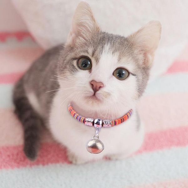 personalized pet cats collar for dog harness safety pet collars cute bell collar small dog adjustable basic halter harnesse 30 wmtsqj
personalized pet cats collar for dog harness safety pet collars cute bell collar small dog adjustable basic halter harnesse 30 wmtsqj