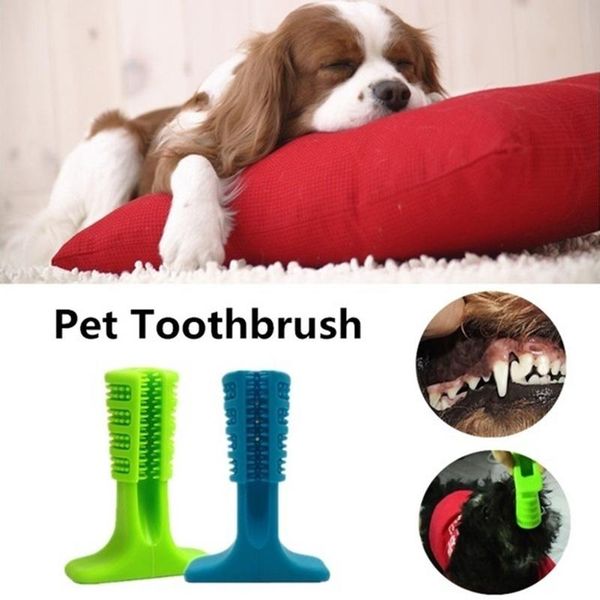 dog toothbrush pet toy pet dog chewing toy plush small toothbrush dental care supplies cleaning supplies oral
dog toothbrush pet toy pet dog chewing toy plush small toothbrush dental care supplies cleaning supplies oral
