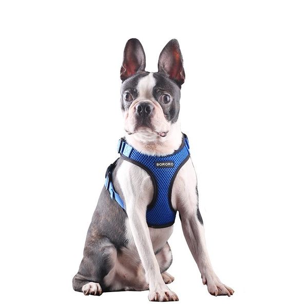 new dog strap no pull easy control reflective dog strap small and medium sized soft breathable net adjustable pet
new dog strap no pull easy control reflective dog strap small and medium sized soft breathable net adjustable pet