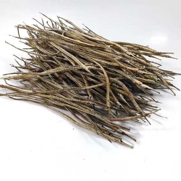 otter real syngnathus natural sea great for jewelry taxidermy nautical home decoration ,craft supplies 12~15mm
otter real syngnathus natural sea great for jewelry taxidermy nautical home decoration ,craft supplies 12~15mm