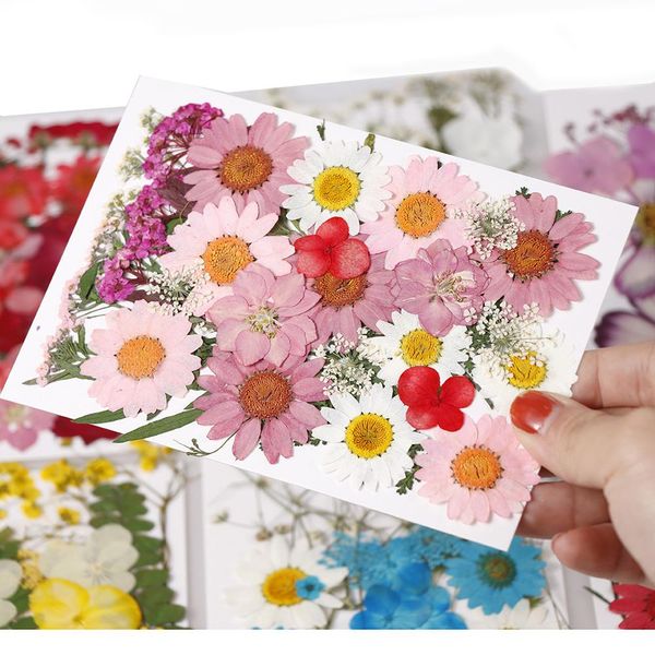 new diy flowers dried flowers matching materials children's handmade plant specimens p studio props new diy wmtxtt bdesybag, Black
new diy flowers dried flowers matching materials children's handmade plant specimens p studio props new diy wmtxtt bdesybag, Black