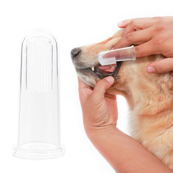 super soft pet finger toothbrush teddy dog brush addition bad breath tartar teeth care dog cat cleaning supplies
super soft pet finger toothbrush teddy dog brush addition bad breath tartar teeth care dog cat cleaning supplies