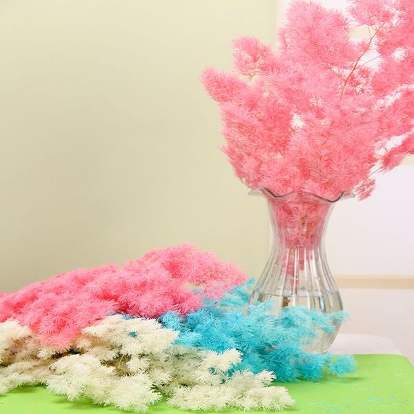 50g/pack preservedfreshflowerpenglai pine flower plant natural decorative handmade flower branch decoration for home living room artificial
50g/pack preservedfreshflowerpenglai pine flower plant natural decorative handmade flower branch decoration for home living room artificial