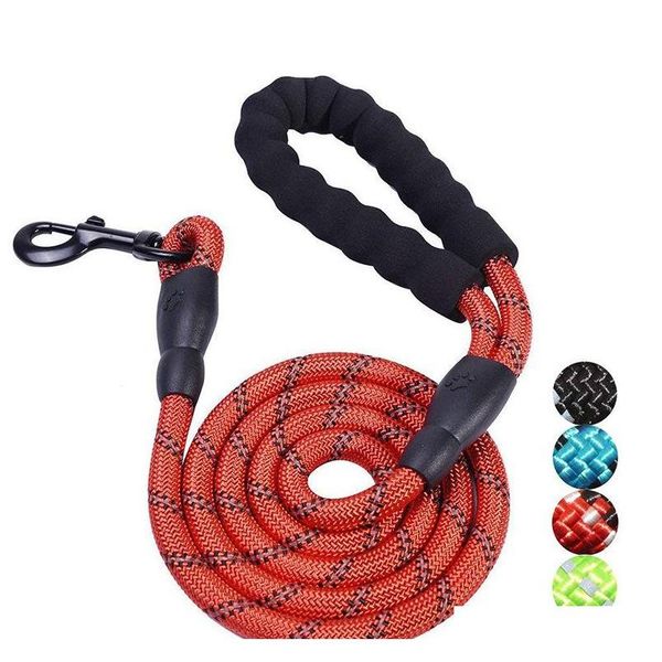 new pet supplies hook circular rope dog traction rope with safe reflective light dog chain dog nylon belt suitable for medium/large kakoy
new pet supplies hook circular rope dog traction rope with safe reflective light dog chain dog nylon belt suitable for medium/large kakoy