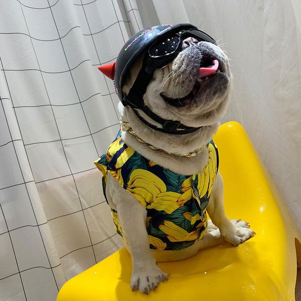dog apparel motorcycle horned devil helmet cat safety hat diy protect pet accessories decor fashion suitable for winter size s/m/l
dog apparel motorcycle horned devil helmet cat safety hat diy protect pet accessories decor fashion suitable for winter size s/m/l