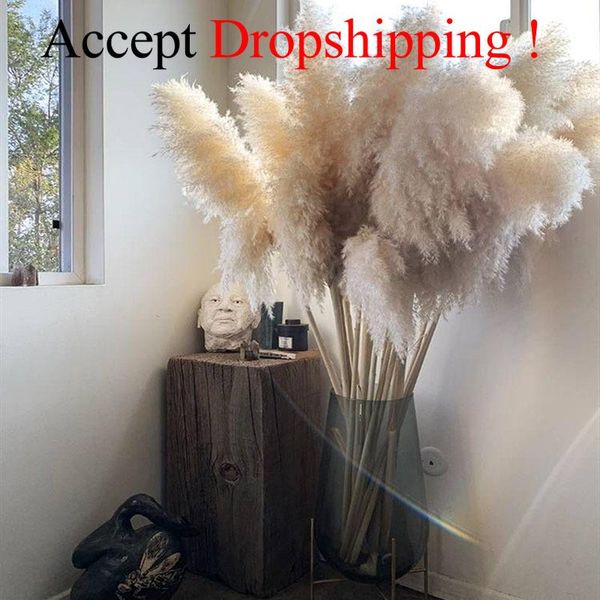 white natural reed dried flower big pampas grass bouquet wedding flower ceremony decoration modern home decoration fall decor
white natural reed dried flower big pampas grass bouquet wedding flower ceremony decoration modern home decoration fall decor