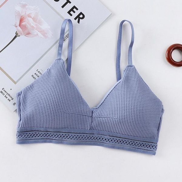 gym clothing yoga sport bra women fitness running crop workout push up sport1, White;black
gym clothing yoga sport bra women fitness running crop workout push up sport1, White;black