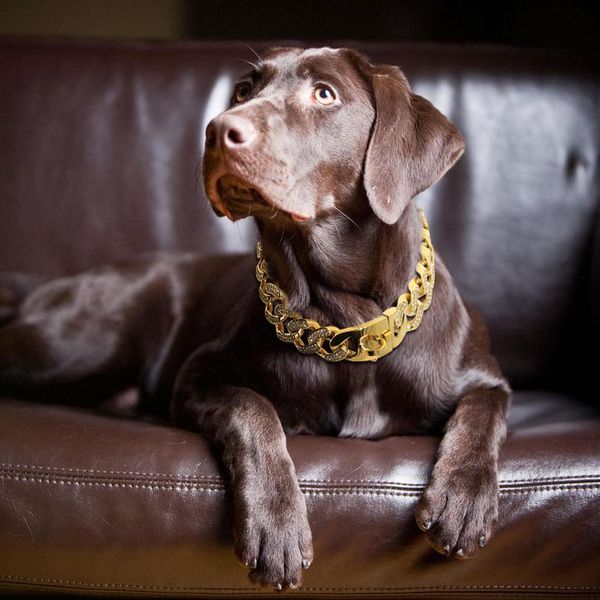 dog chain collar strong metal stainless steel pet dog training collar for medium large dogs pitbull french bulldog sho wmtnwi
dog chain collar strong metal stainless steel pet dog training collar for medium large dogs pitbull french bulldog sho wmtnwi