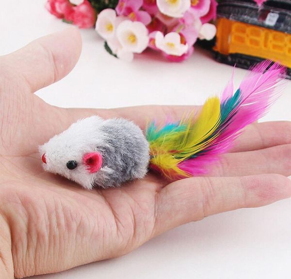 new 5pcs/lot funny false mouse rat toys for cat kitten colorful plush mini mouse toys pe jllngq dayupshop
new 5pcs/lot funny false mouse rat toys for cat kitten colorful plush mini mouse toys pe jllngq dayupshop