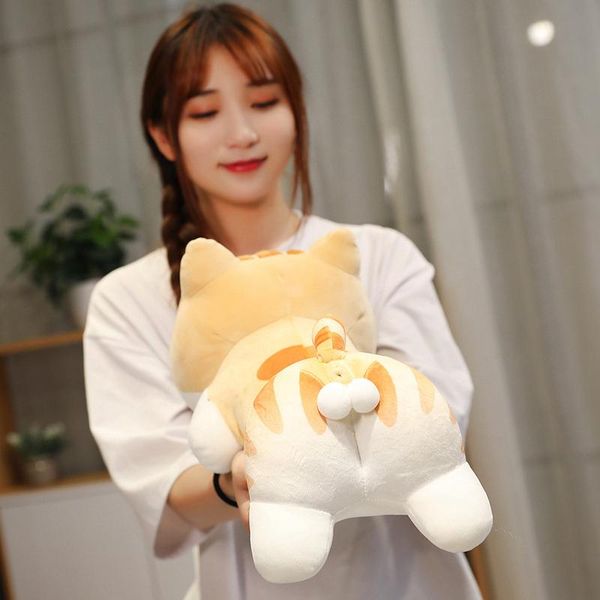 плюшевые игрушки cat мягкие животные подушка заполненные кошка с шары плюшевые игрушки куклы большой подушка нажмите een cat игрушки девочка
плюшевые игрушки cat мягкие животные подушка заполненные кошка с шары плюшевые игрушки куклы большой подушка нажмите een cat игрушки девочка