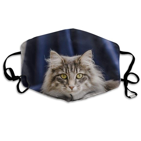 print mouth mask - handsome cat face pattern polyester anti-dust mouth-muffle - fashion washed reusable face masks for outdoor cyclin
print mouth mask - handsome cat face pattern polyester anti-dust mouth-muffle - fashion washed reusable face masks for outdoor cyclin