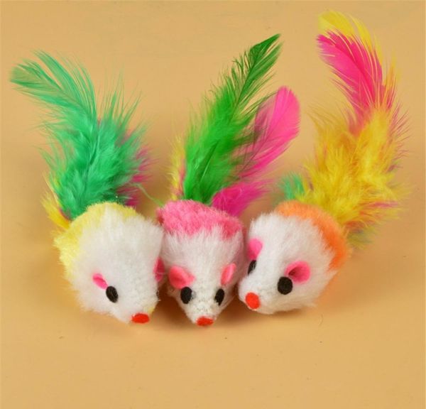 plush mouse cat teaser toy simulation colorful feather tail false mouse bite resistant funny cats toy kitten c bbyywq bde_luck
plush mouse cat teaser toy simulation colorful feather tail false mouse bite resistant funny cats toy kitten c bbyywq bde_luck