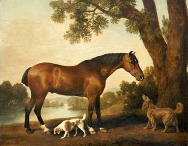 animal oil painting horse dog on canvas home decor handpainted &hd print oil painting on canvas wall art canvas pictures 201114
animal oil painting horse dog on canvas home decor handpainted &hd print oil painting on canvas wall art canvas pictures 201114