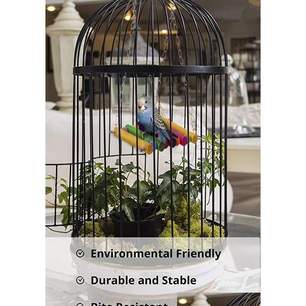 colorful pet bird swing parrot hammock durable bite resistant play toy training entertaining environmentally fri qylvvv yh_pack
colorful pet bird swing parrot hammock durable bite resistant play toy training entertaining environmentally fri qylvvv yh_pack