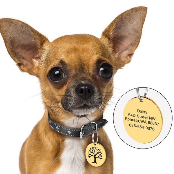 customized dog cat id tag engraved round tags for cats kitten puppy pet collar accessories personalized dogs nameplate a bbyxtf
customized dog cat id tag engraved round tags for cats kitten puppy pet collar accessories personalized dogs nameplate a bbyxtf