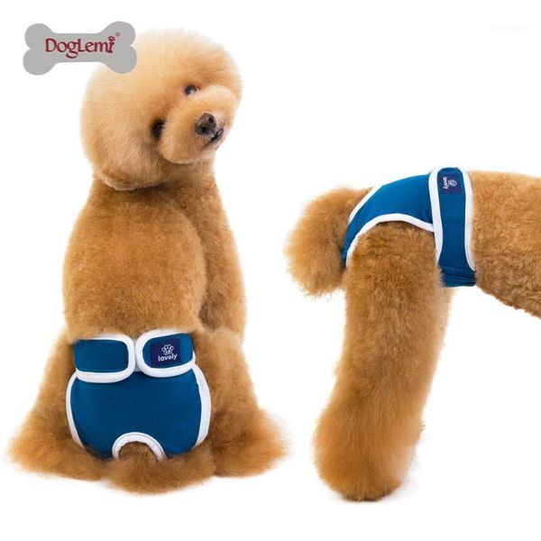 dog apparel diapers physiological pants washable female shorts soft girl dogs pets underwear sanitary panties s-2xl1
dog apparel diapers physiological pants washable female shorts soft girl dogs pets underwear sanitary panties s-2xl1