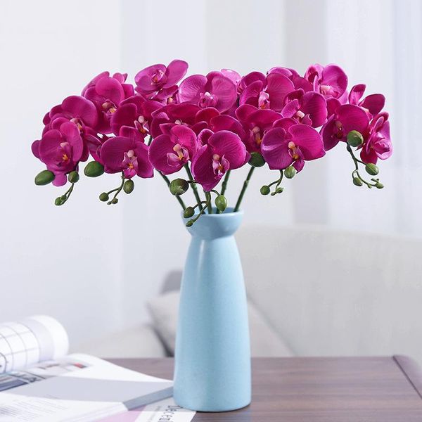 5шт моделирование цветок ручной увлажняющий phalaenopsis домашнее украшение simulation завод свадебные украшения с цветами cjj004
5шт моделирование цветок ручной увлажняющий phalaenopsis домашнее украшение simulation завод свадебные украшения с цветами cjj004