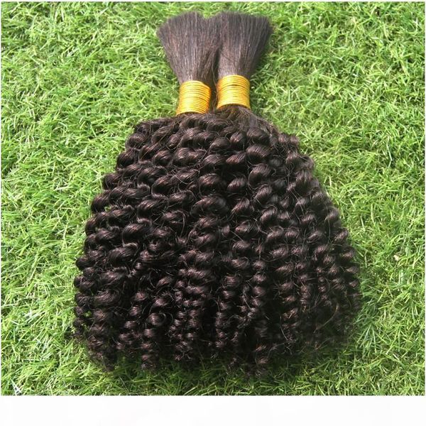 pure color afro kinky curly brazilian bulk hair for braiding 100% human hair weave 10-30 inchs for braiding bulk no attachment 100g, Black
pure color afro kinky curly brazilian bulk hair for braiding 100% human hair weave 10-30 inchs for braiding bulk no attachment 100g, Black