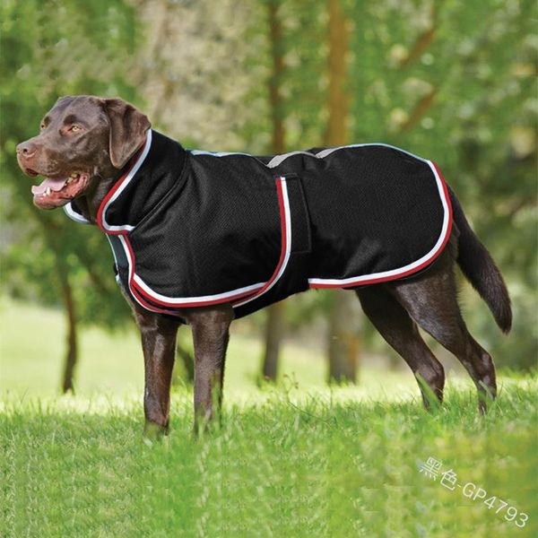 cold proof dog coat solid color autumn winter stripe pet accessories medium large pets dogs clothes fashion 30as p2
cold proof dog coat solid color autumn winter stripe pet accessories medium large pets dogs clothes fashion 30as p2