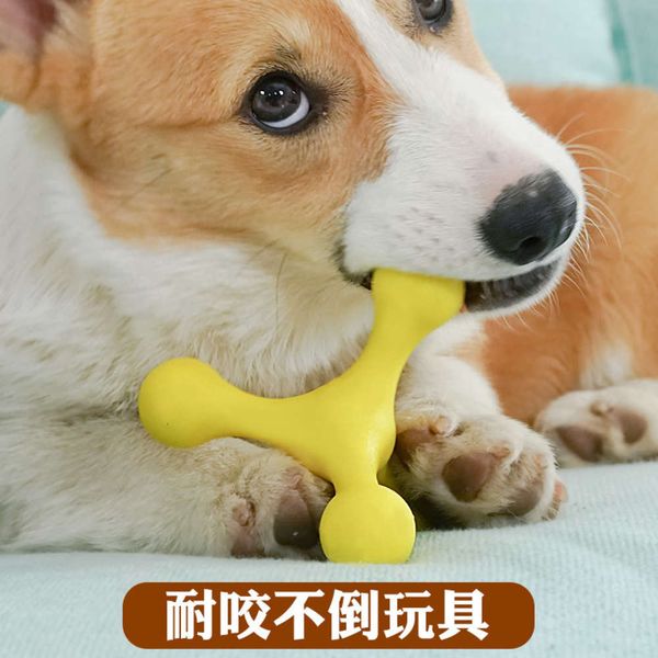 pet fun keji no pour gum educational anti biting molar cleaning companion dog toy natural rubber
pet fun keji no pour gum educational anti biting molar cleaning companion dog toy natural rubber