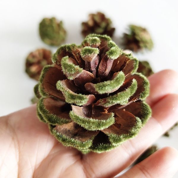 16ca5 natural decorative fruit accessories props and dried decorations fruit kindergarten handmade accessories christmas propscolor pine pho
16ca5 natural decorative fruit accessories props and dried decorations fruit kindergarten handmade accessories christmas propscolor pine pho