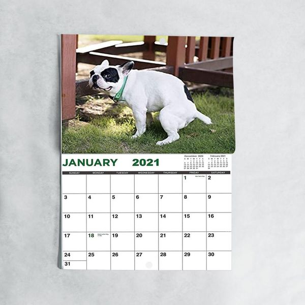 2021 spoof dog poop calendar prank desk calendar home decoration ornament daily necessities dog pooping calendar#g30
2021 spoof dog poop calendar prank desk calendar home decoration ornament daily necessities dog pooping calendar#g30