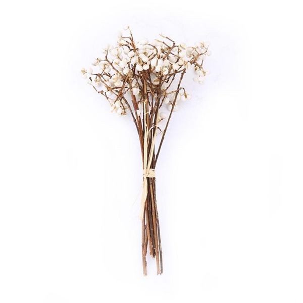 decorative flowers & wreaths natural cotton balls dired flower plants dry artificial diy decoration party christmas home wedding v6c5
decorative flowers & wreaths natural cotton balls dired flower plants dry artificial diy decoration party christmas home wedding v6c5