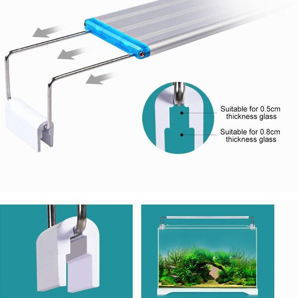 2019 new aquarium led lighting 18-48cm fish tank lamp with extendable brackets white and blue leds fits for aquarium1
2019 new aquarium led lighting 18-48cm fish tank lamp with extendable brackets white and blue leds fits for aquarium1
