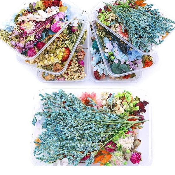 1 box mixed real dried flowers dry plants pressed flowers for epoxy resin pendant necklace jewelry making craft diy acc qylvii, Black;white
1 box mixed real dried flowers dry plants pressed flowers for epoxy resin pendant necklace jewelry making craft diy acc qylvii, Black;white
