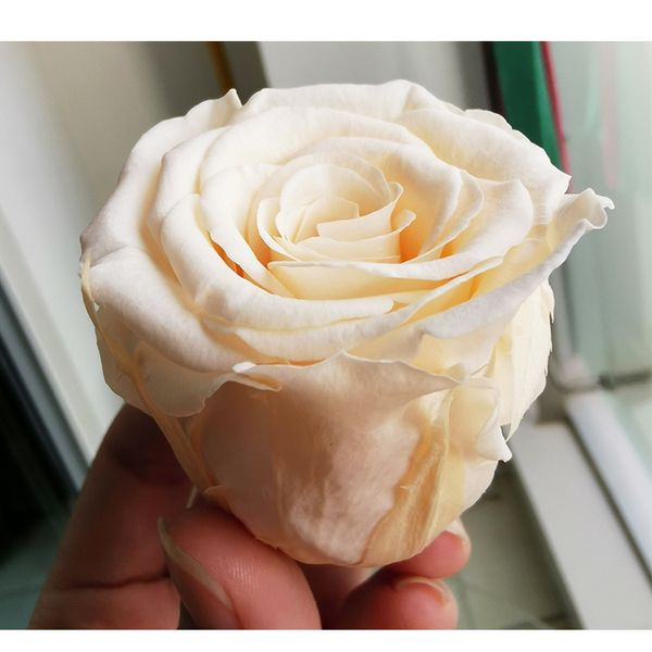 wholesale rose kumming factory supply 5-6cm real preserved flower christmas decoration
wholesale rose kumming factory supply 5-6cm real preserved flower christmas decoration