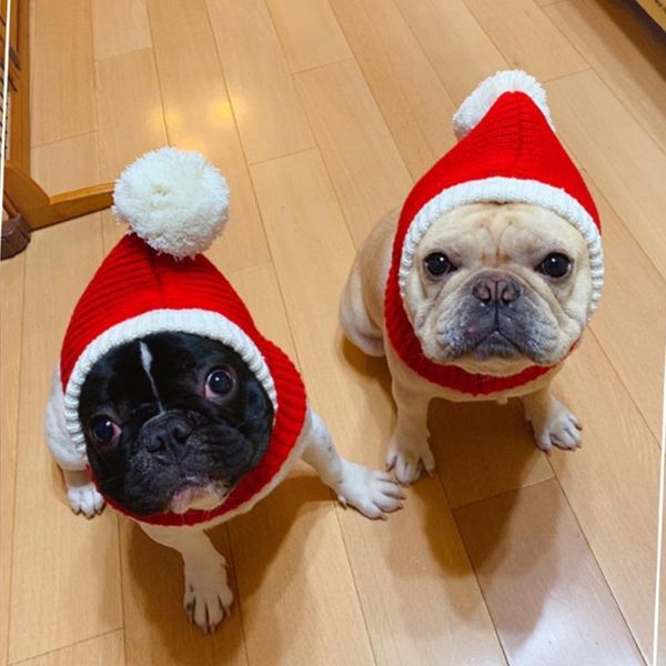 knitted pet hat christmas dog cap winter warm dog hats for dogs cats accessories wool french bulldog caps for dogs new year wmtshn bdesybag
knitted pet hat christmas dog cap winter warm dog hats for dogs cats accessories wool french bulldog caps for dogs new year wmtshn bdesybag