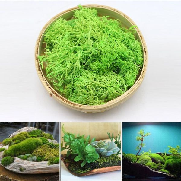 decorative flowers & wreaths artificial green plant immortal fake flower moss grass home living room wall diy mini accessories1
decorative flowers & wreaths artificial green plant immortal fake flower moss grass home living room wall diy mini accessories1